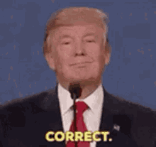 Donald Trump Correct GIF - Donald Trump Correct Right GIFs