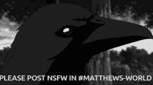 Nsfw Matthews World GIF