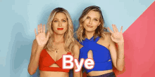 Bye GIF - Barely Famous Bye Wave GIFs