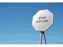 Stop Your Cute Stop Your Cute Road GIF - Stop Your Cute Stop Stop Your Cute Road GIFs