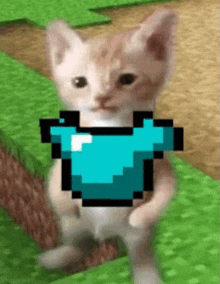 Pana Minecraft GIF - Pana Minecraft GIFs