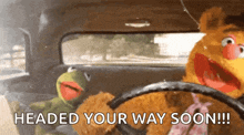 Drive Happy But Carefree Kermit GIF - Drive Happy But Carefree Kermit Muppets GIFs