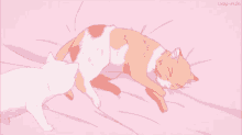 Kitty Snuggles GIF - Kitty Snuggles Anime GIFs