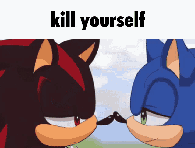 Kill Yourself Sonic X Shadow GIF