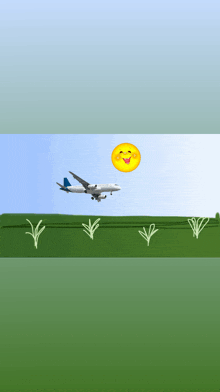 an airplane is flying over a grassy field with a smiley face in the background