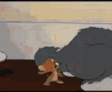 tom and jerry are playing with each other in a cartoon .