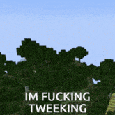 a screenshot of a minecraft scene with the words im fucking tweeking