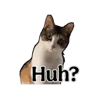 a brown and white cat with the words huh written on it