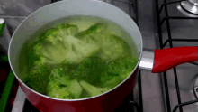 Brócolis GIF - Brocolis Vegetais Cozinhando GIFs