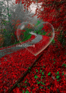 heart leaves love raining rainy day