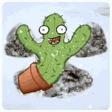 cactus dancing