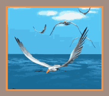 Flying Seagull GIF