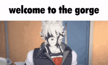 a picture of a furry character with the words welcome to the gorge above him