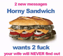 a picture of a sandwich that says horny sandwich