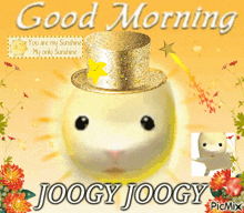 Good Morning Joog GIF
