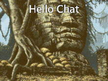 Hello Chat Hellochat GIF