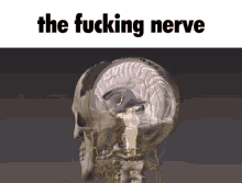 The Fucking GIF - The Fucking Nerve GIFs