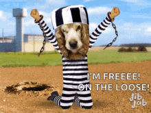 Dog Prison GIF