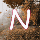 the letter n is surrounded by autumn leaves on the ground