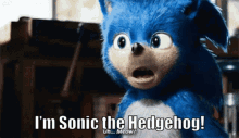 Sonic The Hedgehog Sonic GIF - Sonic The Hedgehog Sonic Sonic Movie GIFs