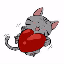 cute cat kitty gray love