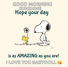 a good morning sunshine hope your day is as amazing as you are ! i love you babydoll .
