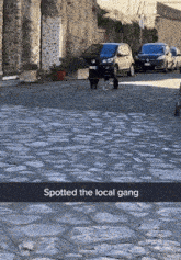 a picture of a street with the words spotted the local gang at the bottom
