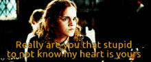 Hermione Granger Really GIF