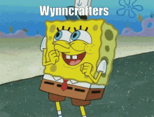 Wynncraft Wynncrafters GIF