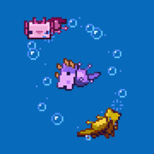 three axolotls are swimming in the water with bubbles