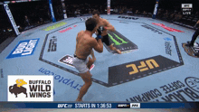 two men are fighting in a boxing ring sponsored by bud light and ufc