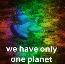 Planet Erde GIF - Planet Erde Regenbogen GIFs