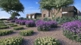 a house with a lot of purple flowers and bushes in front of it
