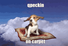 qpeckin carpet flying dog