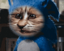 Cursed Sonic GIF - Cursed Sonic Ugly GIFs