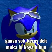 a cartoon of sonic the hedgehog wearing sunglasses with a caption .