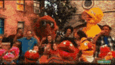 a group of sesame street characters are posing for a picture together