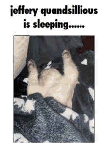Sleeping Jeffery GIF - Sleeping Jeffery Quandsillious GIFs