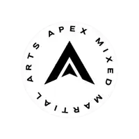 a logo for apex martial arts with a triangle in the middle