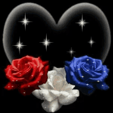 Love Rose GIF - Love Rose Red Rose GIFs