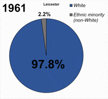 leicester population demographics indian white