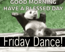 Friday Dance Tgif GIF - Friday Dance Tgif Panda GIFs