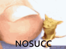 Nosucc Feet GIF - Nosucc Feet Toes GIFs