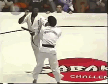 karate ko knockout slumped kyokushin