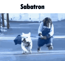 sabatron monkey dog walking dog leash
