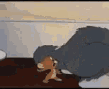 Tom Jerry GIF - Tom Jerry Mouse GIFs