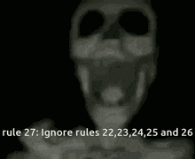 Rule 27 Ignore Rules GIF