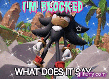 a picture of shadow the hedgehog with the caption " i 'm blocked what does it say glitterfy.com "