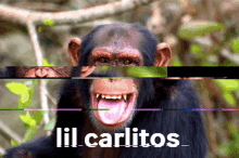 Lil Carlitps Monkey GIF - Lil Carlitps Monkey Smile GIFs