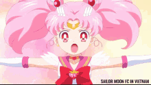 Sailor Moon Sailor Chibi Moon GIF - Sailor Moon Sailor Chibi Moon Sailor Moon Crystal GIFs